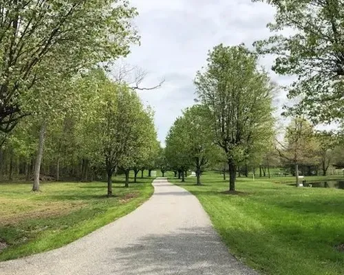 A serene park scene featuring a paved path bordered by green grass and leafy trees, inviting for a leisurely stroll.
