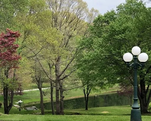 A park landscape showcasing a light post with trees visible in the background.
